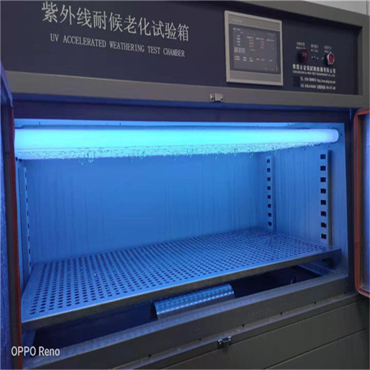 �пղ����������������